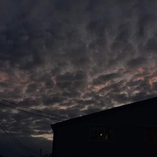Photo #13746736