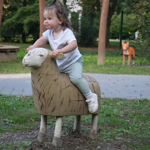 Photo #13746746