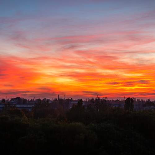 Photo #13746774