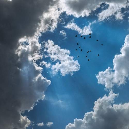 Photo #13746782
