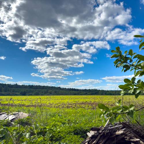 Photo #13746786