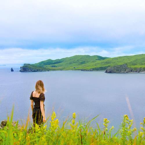Photo #13746789