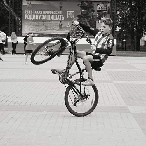 Photo #13746790
