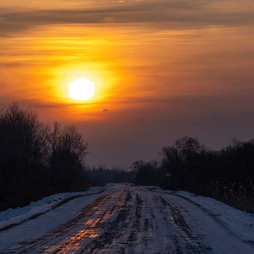 Photo #13746834