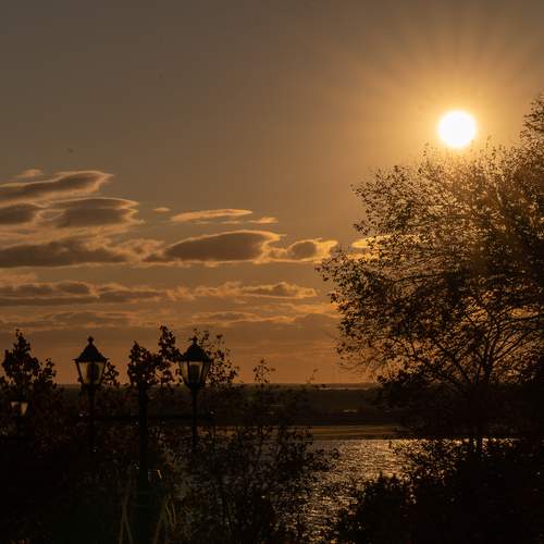 Photo #13746837