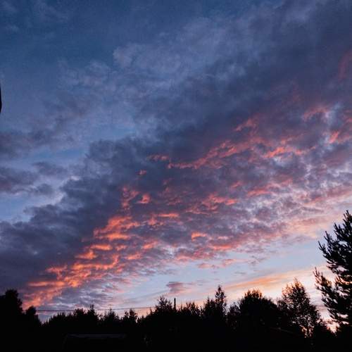 Photo #13746840