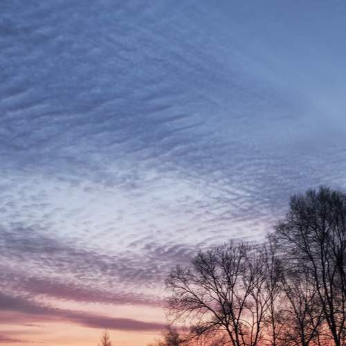 Photo #13746855