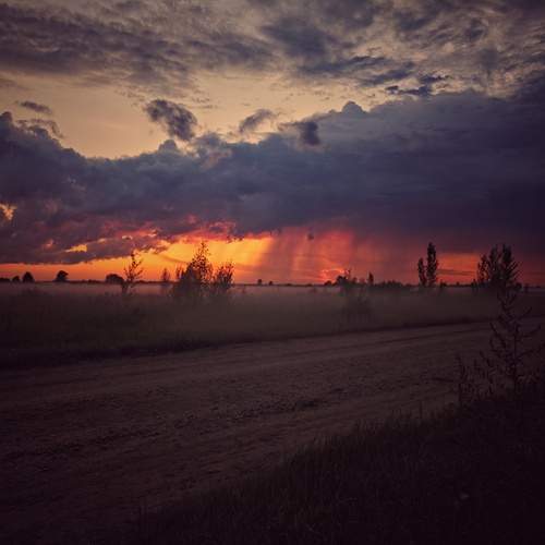 Photo #13746856