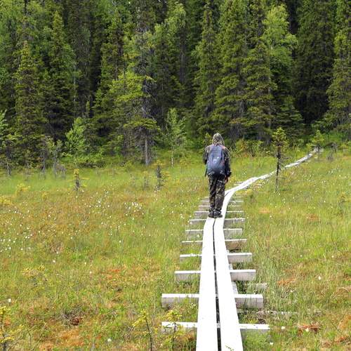 Photo #13746858