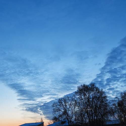 Photo #13746863