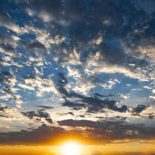 Photo #13746876