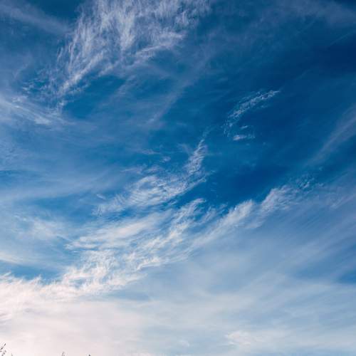 Photo #13746878
