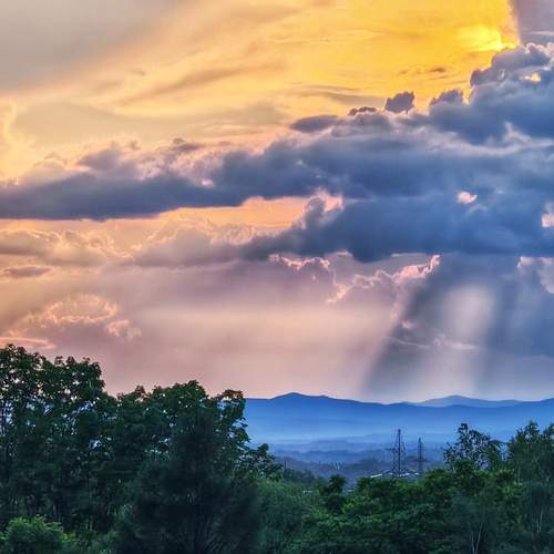 Photo #13746903