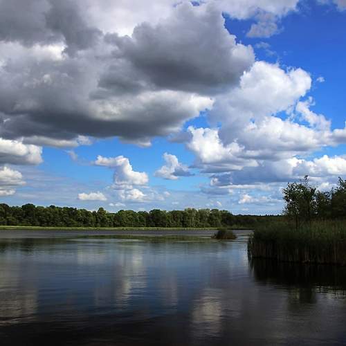 Photo #13746919