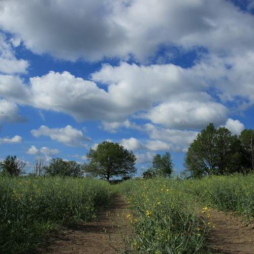 Photo #13746922