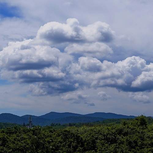 Photo #13746923