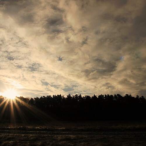 Photo #13746926