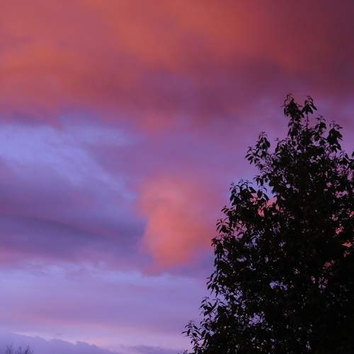 Photo #13746927