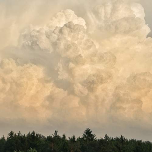 Photo #13746941