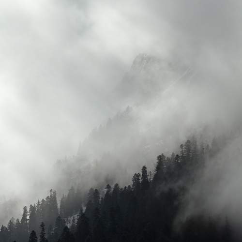 Photo #13746961
