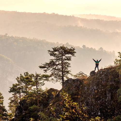 Photo #13746964