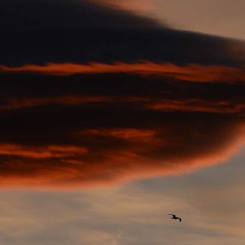 Photo #13746973