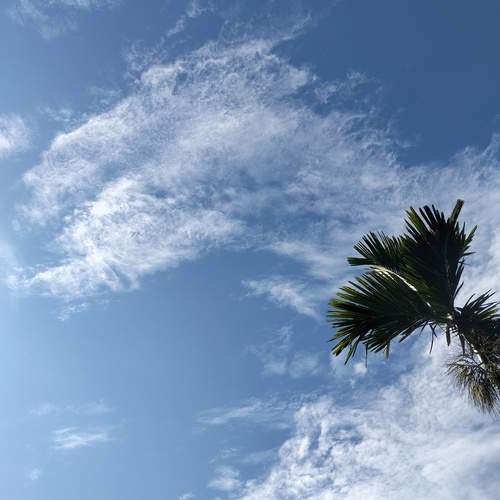 Photo #13746987