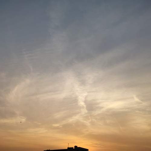 Photo #13747046