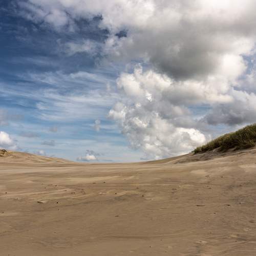 Photo #13747052