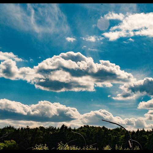 Photo #13747054