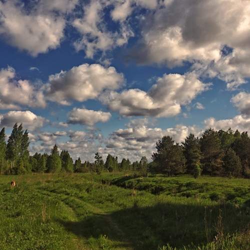 По дороге с облаками.