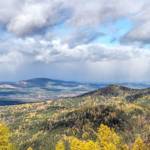 Photo #13747134
