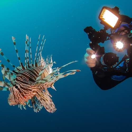 Photo #13747150