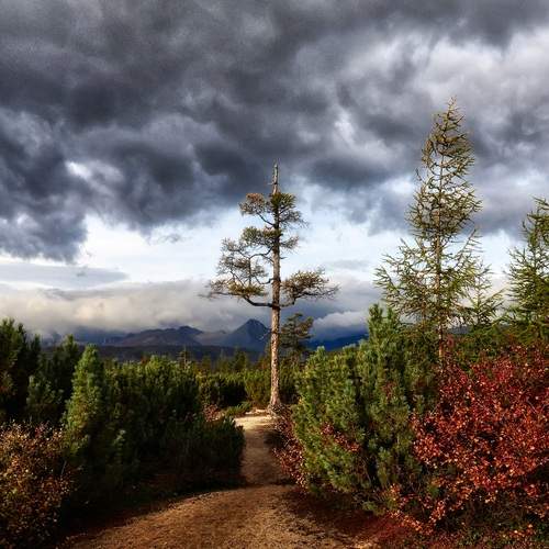 Photo #13747190