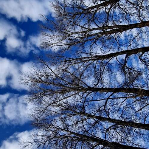Photo #13747191