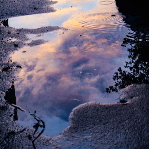 Photo #13747194