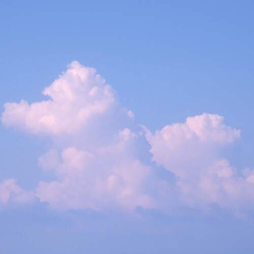 Photo #13747232
