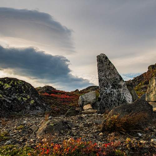 Photo #13747265