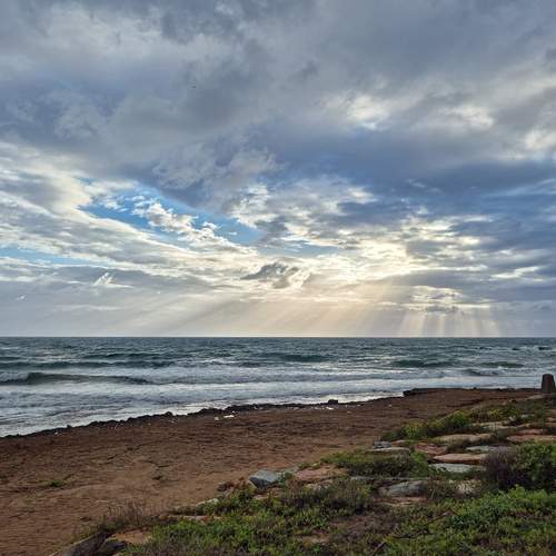 Photo #13747292