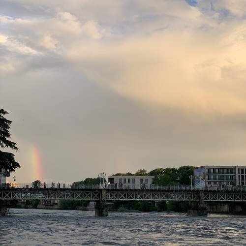 Photo #13747313