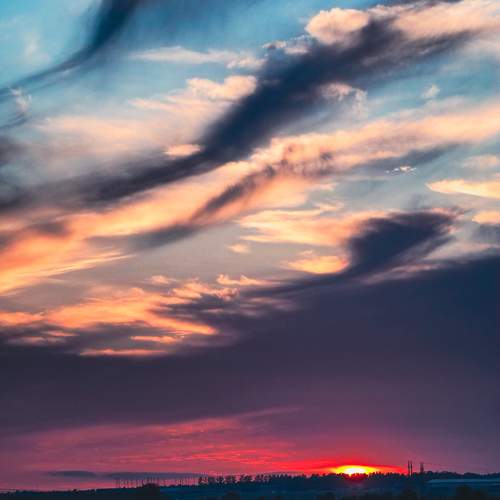 Photo #13747329