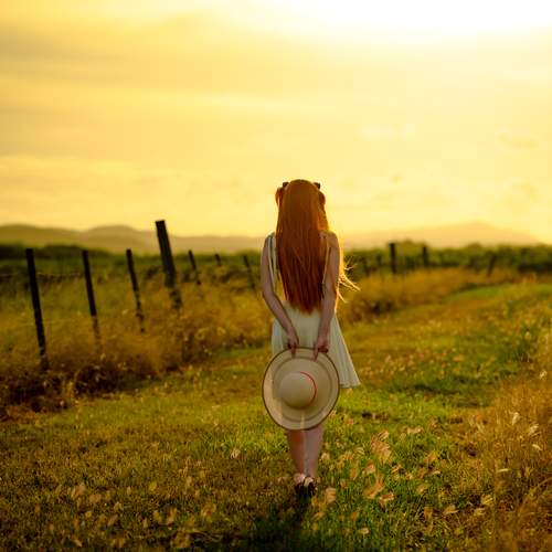 Photo #13747351