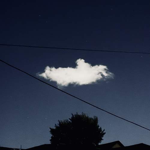 Photo #13747389