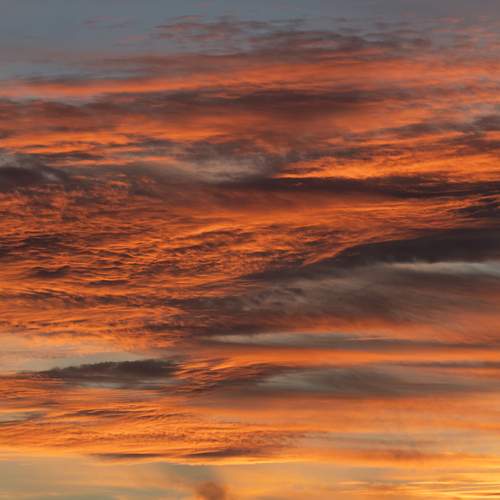 Photo #13747401