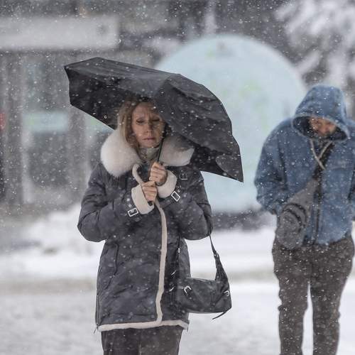 Photo #13747410