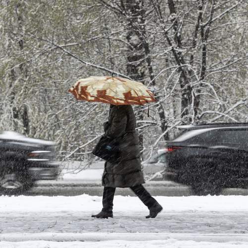 Photo #13747412