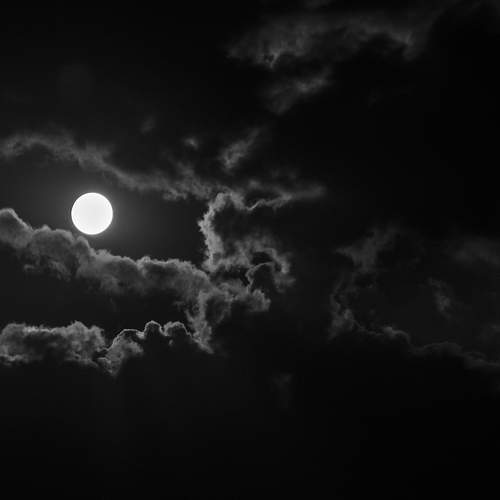 Photo #13747416
