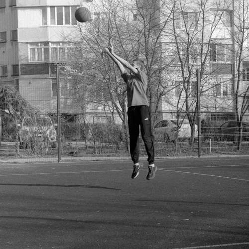 Photo #13747455