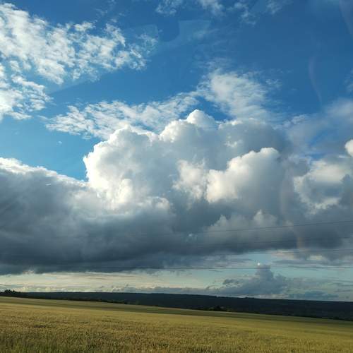Photo #13747474