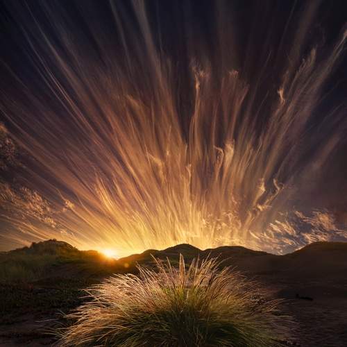Photo #13747485